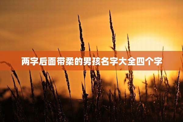 两字后面带柔的男孩名字大全四个字