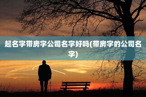 起名字带房字公司名字好吗(带房字的公司名字)