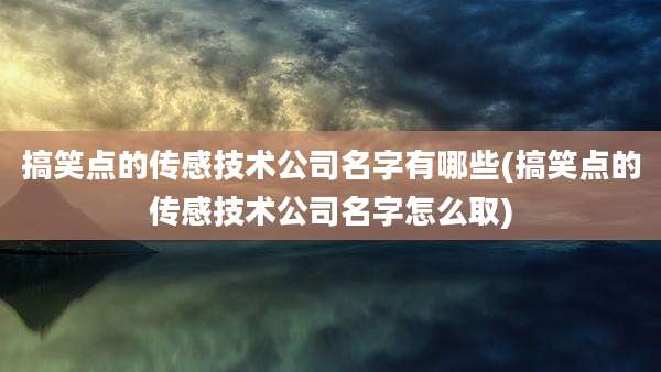搞笑点的传感技术公司名字有哪些(搞笑点的传感技术公司名字怎么取)
