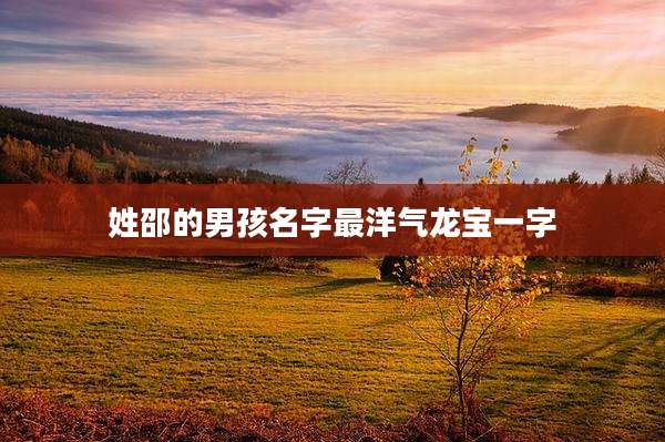 姓邵的男孩名字最洋气龙宝一字