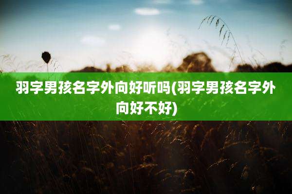 羽字男孩名字外向好听吗(羽字男孩名字外向好不好)