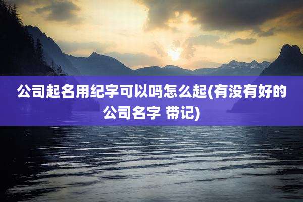 公司起名用纪字可以吗怎么起(有没有好的公司名字 带记)