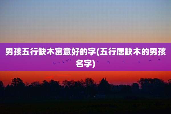 男孩五行缺木寓意好的字(五行属缺木的男孩名字)