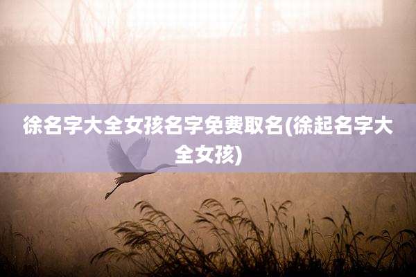 徐名字大全女孩名字免费取名(徐起名字大全女孩)