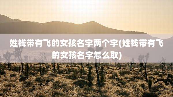 姓钱带有飞的女孩名字两个字(姓钱带有飞的女孩名字怎么取)