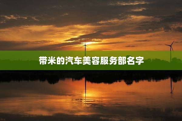 带米的汽车美容服务部名字