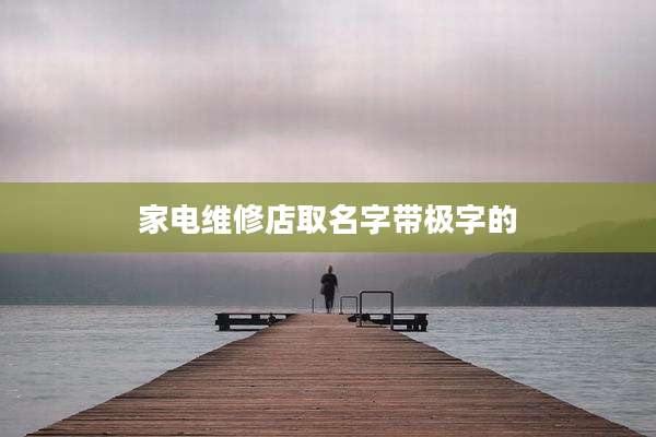 家电维修店取名字带极字的
