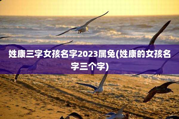 姓康三字女孩名字2023属兔(姓康的女孩名字三个字)