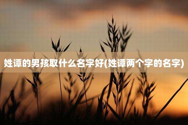 姓谭的男孩取什么名字好(姓谭两个字的名字)