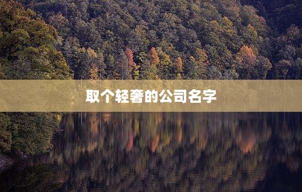 取个轻奢的公司名字