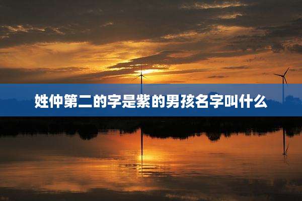 姓仲第二的字是紫的男孩名字叫什么