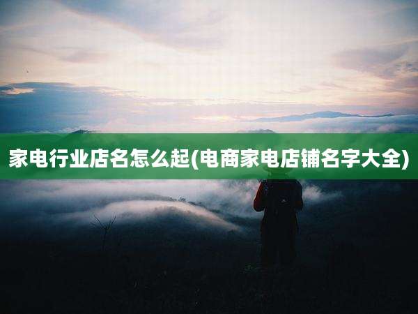 家电行业店名怎么起(电商家电店铺名字大全)