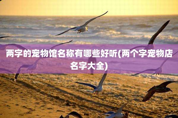 两字的宠物馆名称有哪些好听(两个字宠物店名字大全)