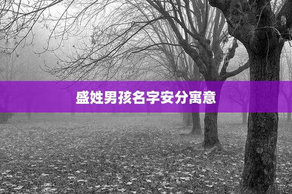 盛姓男孩名字安分寓意