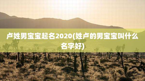 卢姓男宝宝起名2020(姓卢的男宝宝叫什么名字好)