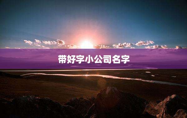 带好字小公司名字