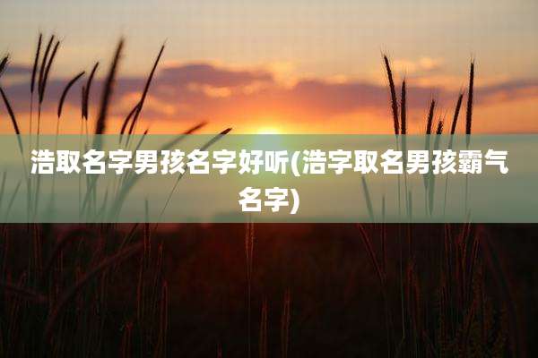 浩取名字男孩名字好听(浩字取名男孩霸气名字)