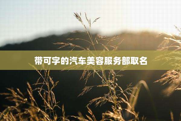 带可字的汽车美容服务部取名