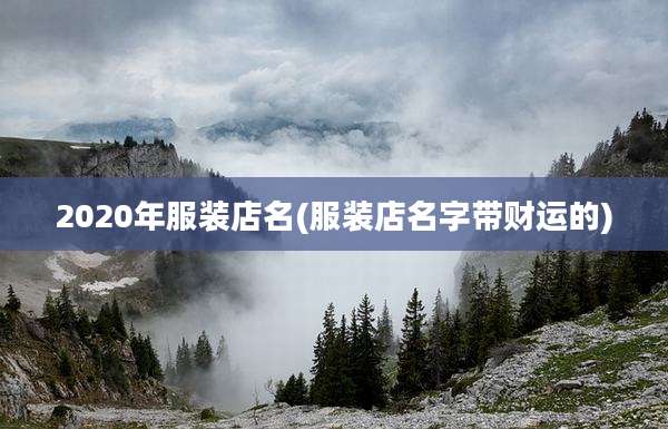 2020年服装店名(服装店名字带财运的)