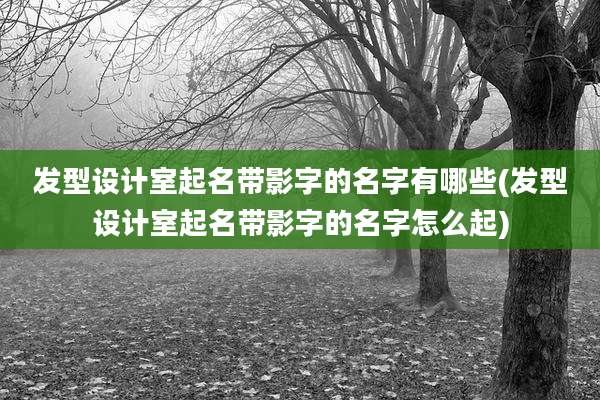 发型设计室起名带影字的名字有哪些(发型设计室起名带影字的名字怎么起)