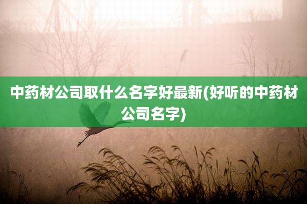 中药材公司取什么名字好最新(好听的中药材公司名字)