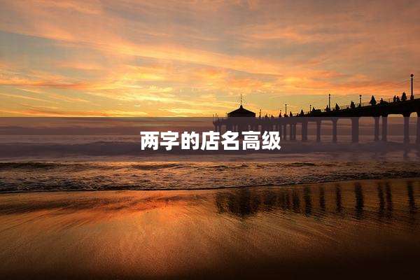 两字的店名高级