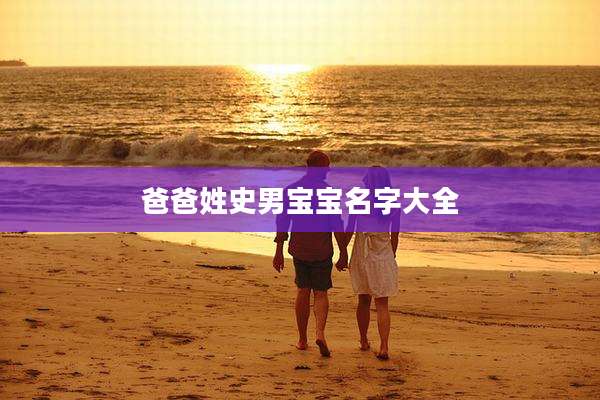 爸爸姓史男宝宝名字大全