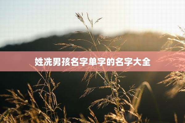 姓冼男孩名字单字的名字大全