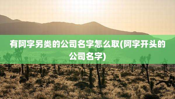 有阿字另类的公司名字怎么取(阿字开头的公司名字)