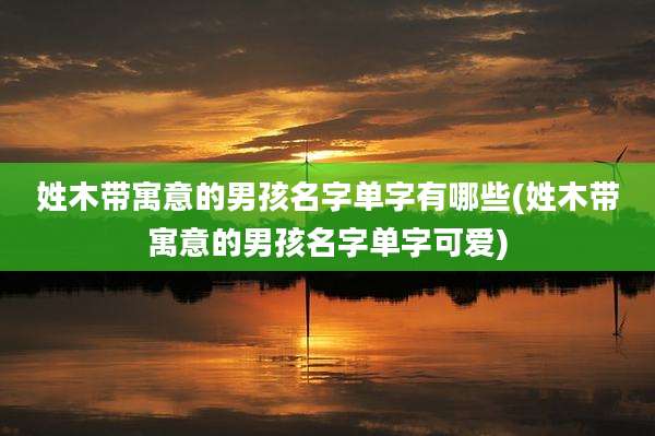 姓木带寓意的男孩名字单字有哪些(姓木带寓意的男孩名字单字可爱)