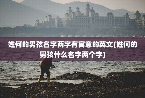 姓何的男孩名字两字有寓意的英文(姓何的男孩什么名字两个字)