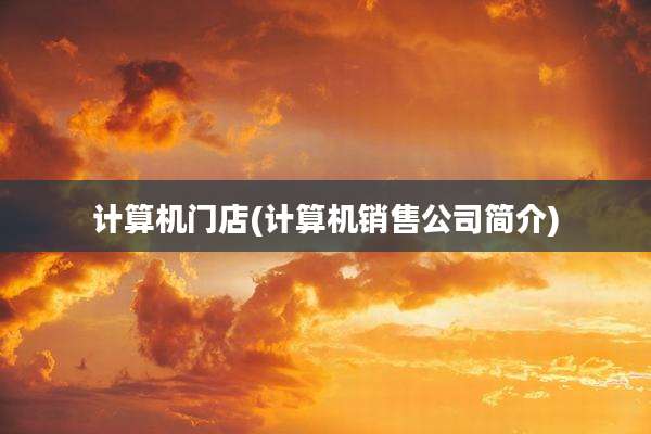 计算机门店(计算机销售公司简介)