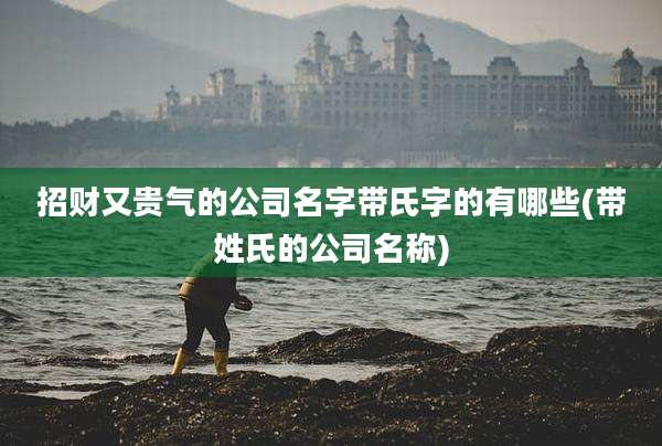 招财又贵气的公司名字带氏字的有哪些(带姓氏的公司名称)