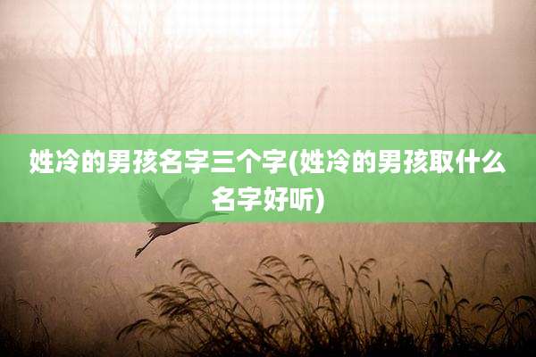 姓冷的男孩名字三个字(姓冷的男孩取什么名字好听)