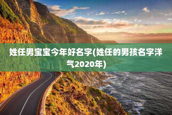 姓任男宝宝今年好名字(姓任的男孩名字洋气2020年)