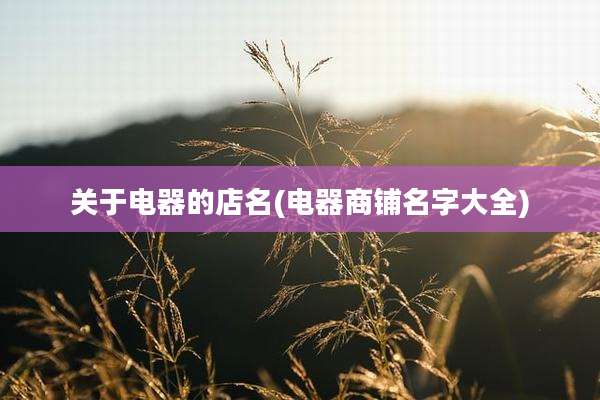 关于电器的店名(电器商铺名字大全)