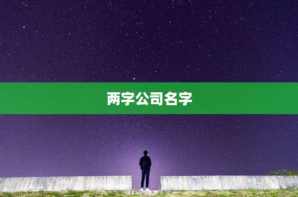 两字公司名字