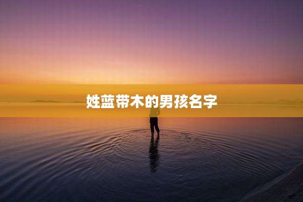 姓蓝带木的男孩名字