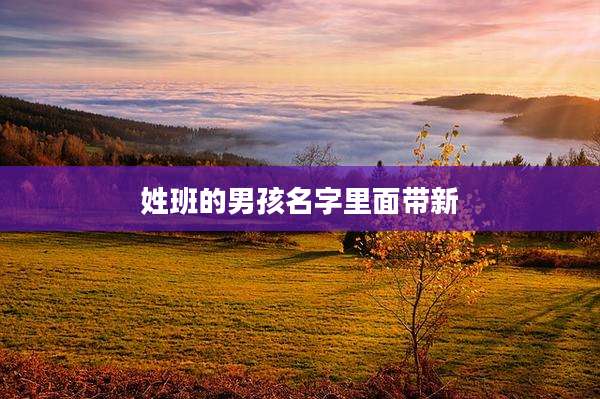 姓班的男孩名字里面带新