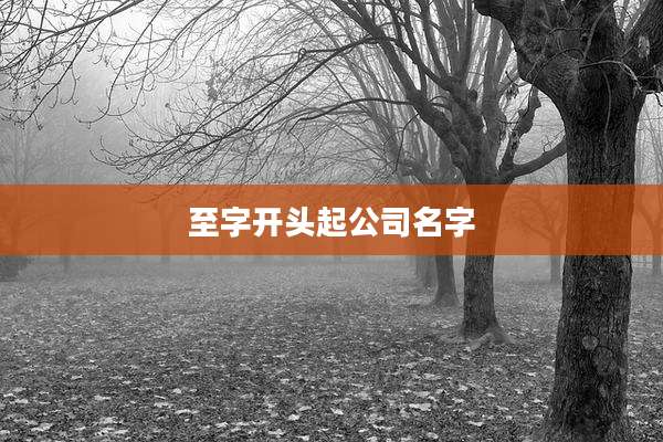 至字开头起公司名字