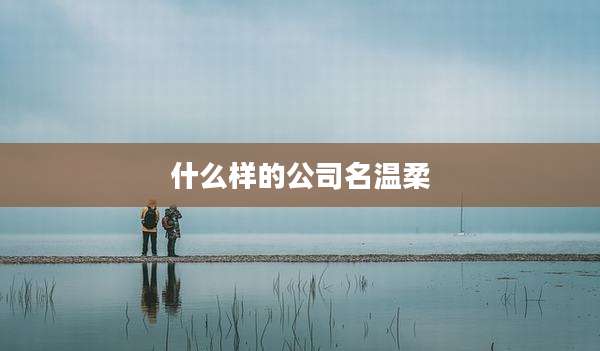 什么样的公司名温柔