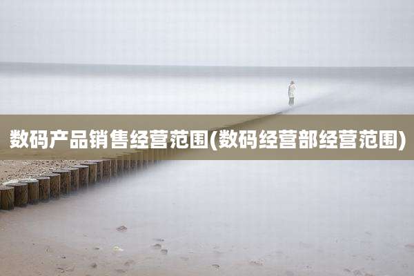 数码产品销售经营范围(数码经营部经营范围)
