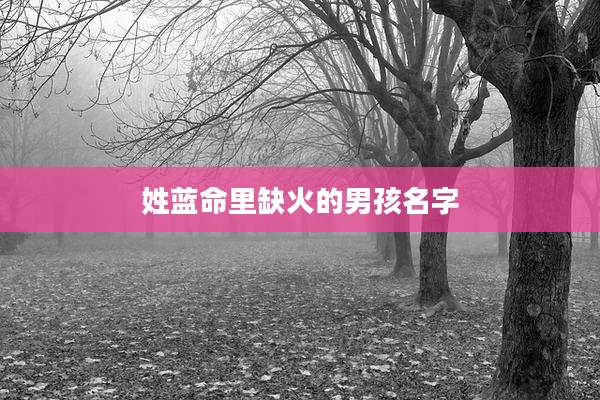 姓蓝命里缺火的男孩名字