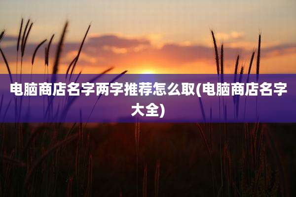 电脑商店名字两字推荐怎么取(电脑商店名字大全)