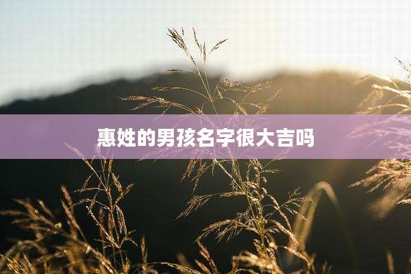 惠姓的男孩名字很大吉吗