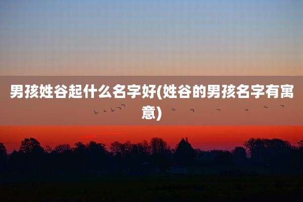 男孩姓谷起什么名字好(姓谷的男孩名字有寓意)