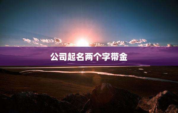 公司起名两个字带金