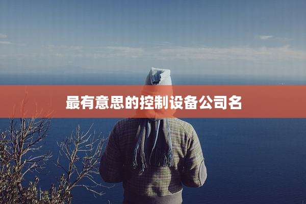 最有意思的控制设备公司名
