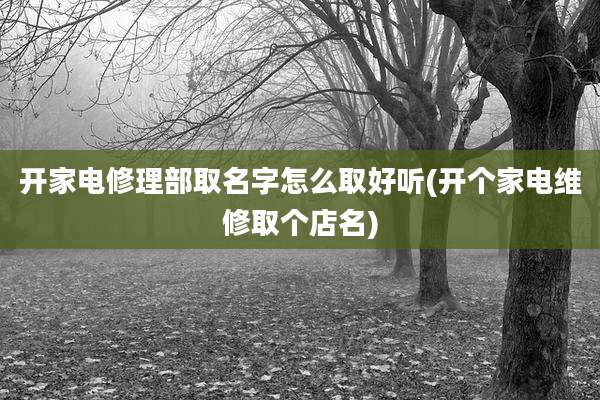 开家电修理部取名字怎么取好听(开个家电维修取个店名)