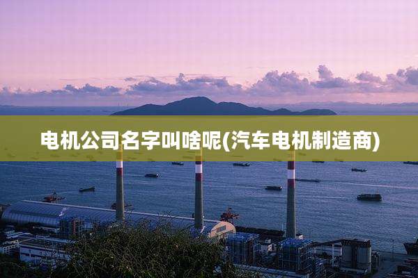 电机公司名字叫啥呢(汽车电机制造商)